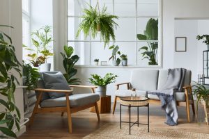 Variety of indoor plants displayed in different creative settings, enhancing home decor and air quality