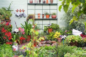 Create a Sensory Garden - Outdoor Oasis Ideas for Enhanced Experiences