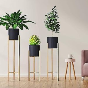 Discover Unique Interior Design Accents: Vases and Planters for Personalized Style